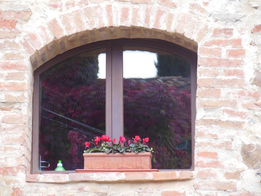 Larocchettina Daire Castiglione dʼOrcia Oda fotoğraf